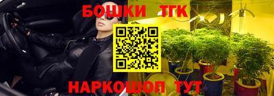 бошки Дубна