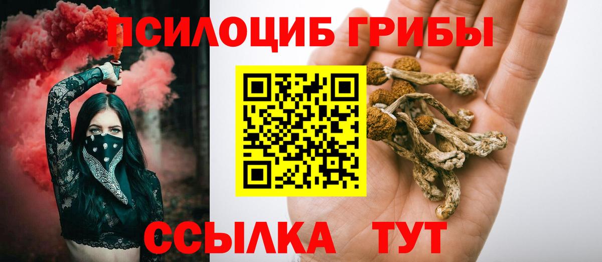 Псилоцибиновые грибы мицелий  наркошоп  Малгобек  Вход с VPN 
